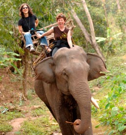 Backroads Asia Trips